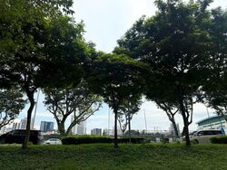 Blk 123 Mcnair Spring (Kallang/Whampoa), HDB 4 Rooms #569400061